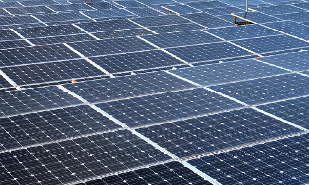 自動車免許は必要なくなるといわれています。みなさんはどうお考えですか？